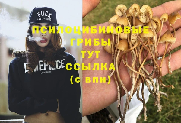 бошки Алексеевка