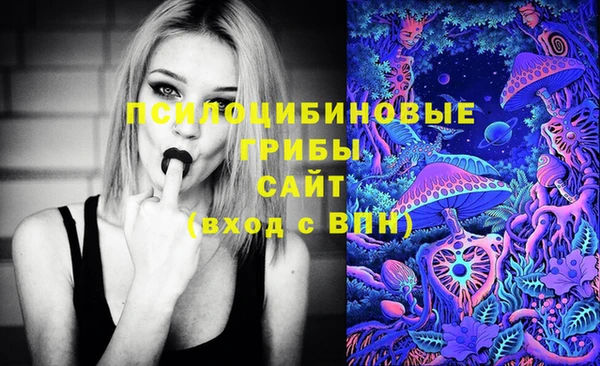 экстази Алексин