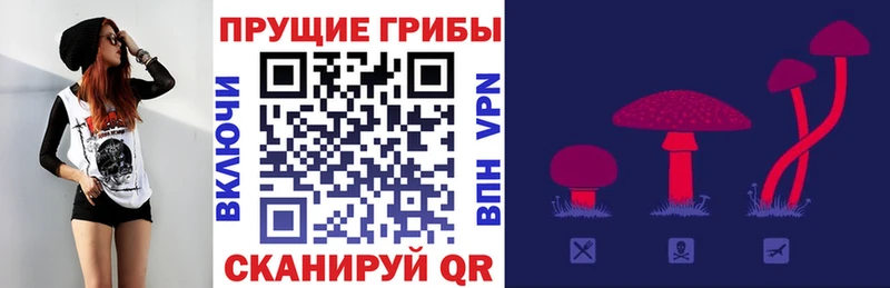Галлюциногенные грибы MAGIC MUSHROOMS  MEGA ССЫЛКА  Черепаново  где купить наркоту 
